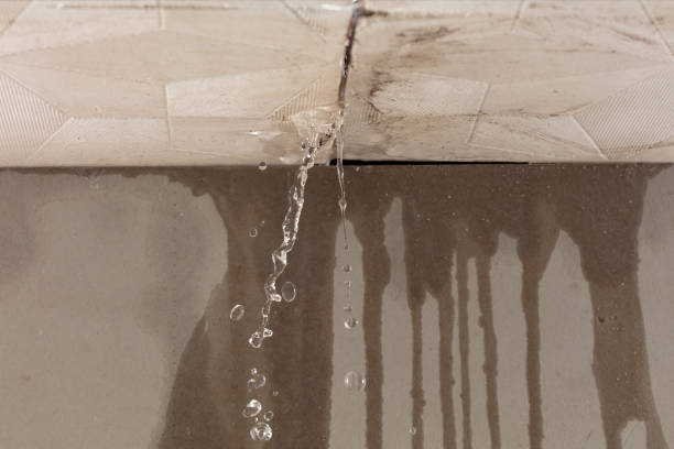 Professional Structural Drying technician working in Bergheim, TX